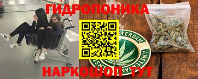 шишки Малгобек
