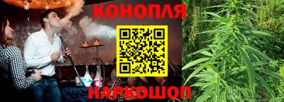 шишки Малгобек
