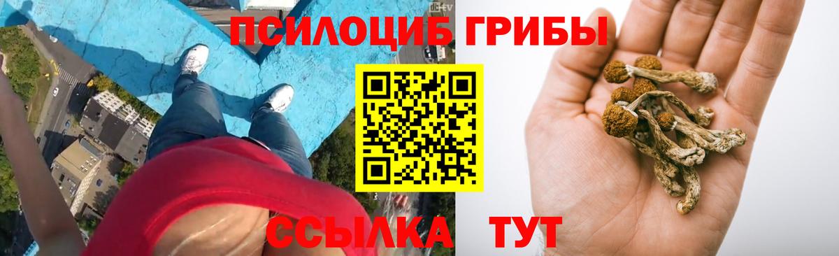 Псилоцибиновые грибы мухоморы  Галлюциногенные грибы GOLDEN TEACHER  Урус-Мартан  Вход с VPN 
